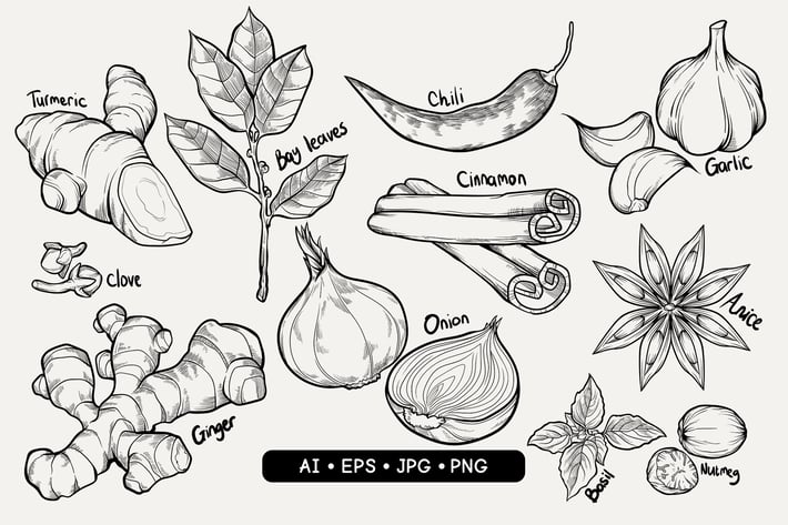 Hand Drawn Spices