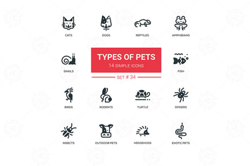Pet Types - modern vector icons set