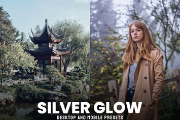 Silver Glow - Desktop and Mobile Presets
