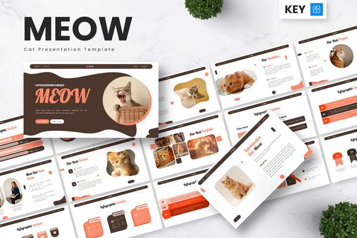 Meow - Cat Keynote Templates