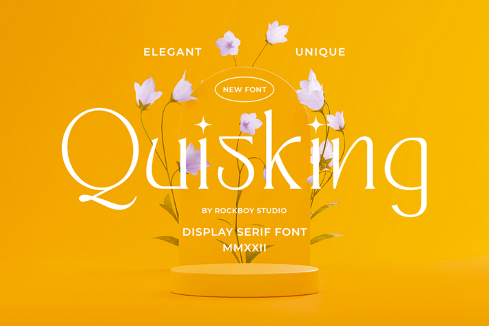 Quisking - Display Serif Font