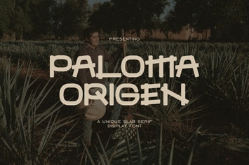Paloma Origen - Unique Slab Serif Font