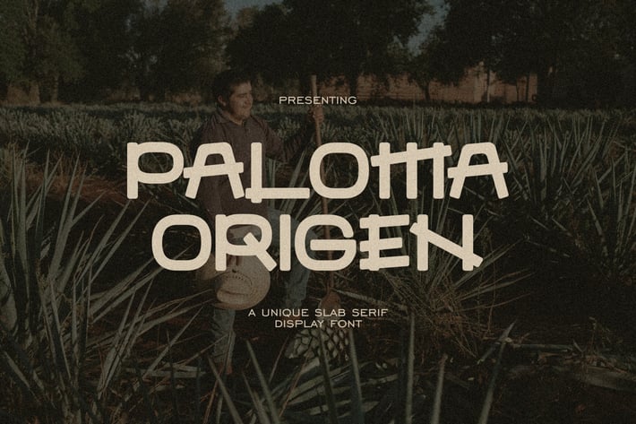 Paloma Origen - Unique Slab Serif Font