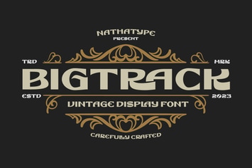 Bigtrack