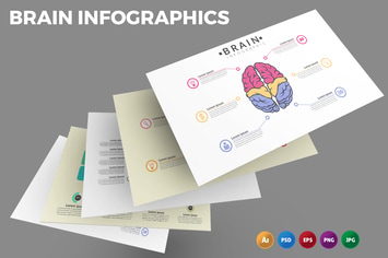 Brain – Infographics Design