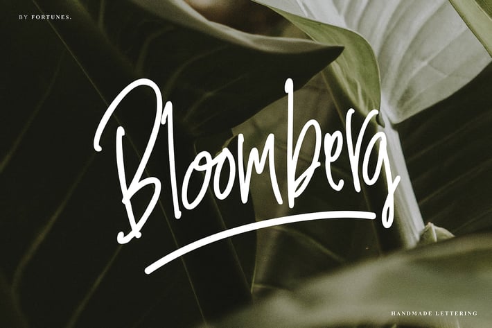Bloomberg