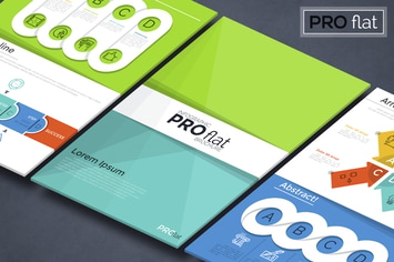 Pro Flat Infographic Brochure 11