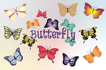 Tropical Butterfly Hand Drawn