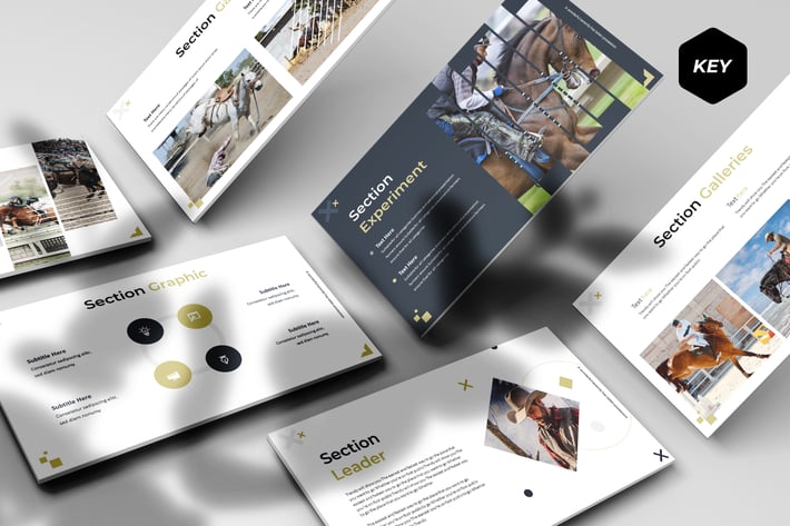 Rodeyo - Keynote Template