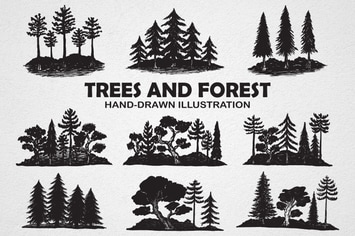 Trees and Forest Hand drawn Illustration