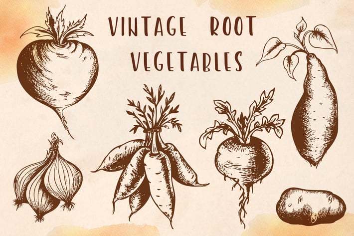 Vintage Root Vegetables