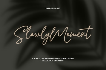 Slowly Moment Clean Monoline Script Font