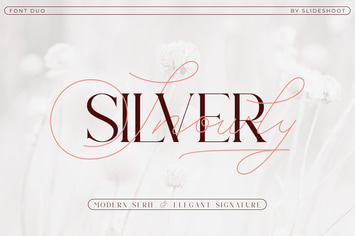 Silver Snowly - Font duo