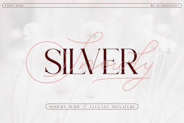 Silver Snowly - Font duo