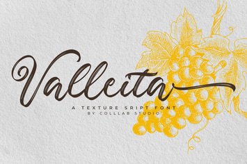 Valleita Script - A Textured Script Font