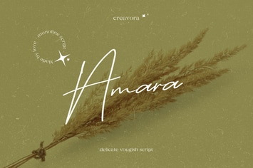 Amara -  Signature Script Font