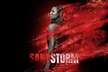 Sandstorm Photoshop Action