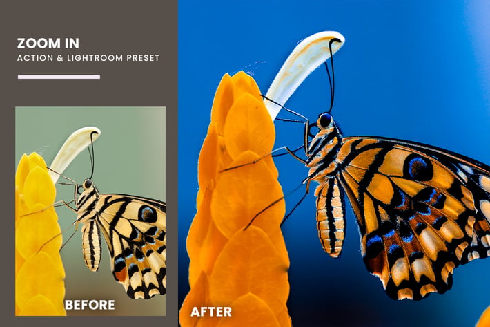 Zoom In Fx Photoshop Action & Lightrom Presets