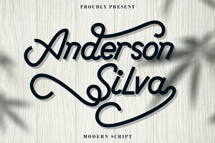 Anderson Silva 