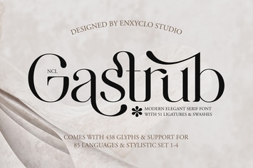 NCL Gastrub - Modern Elegant Ligature Serif Swash