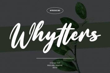 Whytters Script Font