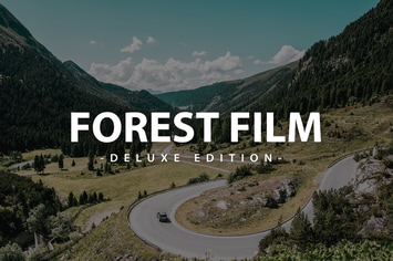 Forest Film Deluxe Edition | For Mobile and deskto