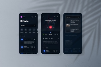 Application Screen Presentation Mockup