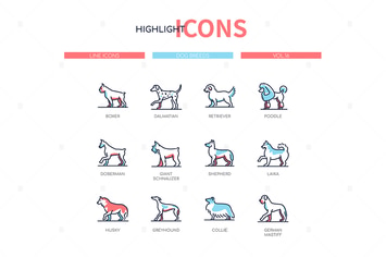 Dog breeds - modern line design style icons set