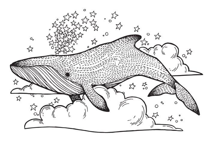 Whale Scratchboard Illustration