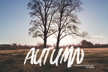Autumn Action