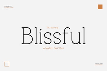 Blissful - Modern Stylish
