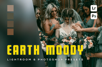 6 Earth moody Lightroom and Photoshop Presets