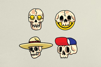 Skull Variations Icon
