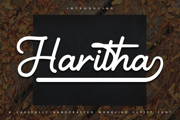 Haritha | Handcrafted Monoline Script Font