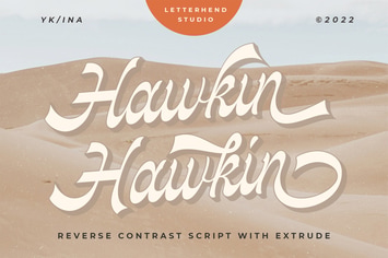 Hawkin 