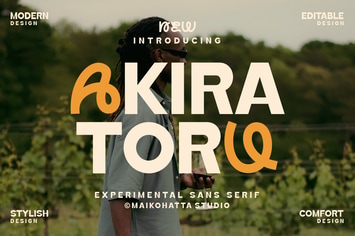 Akira Toru - Sans Serif Display Font