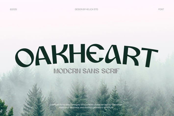 Oakheart Modern Display Font Font