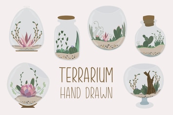 Terrarium Hand Drawn