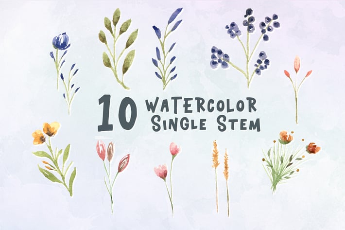 10 Watercolor Single Stem Illustration Graphics