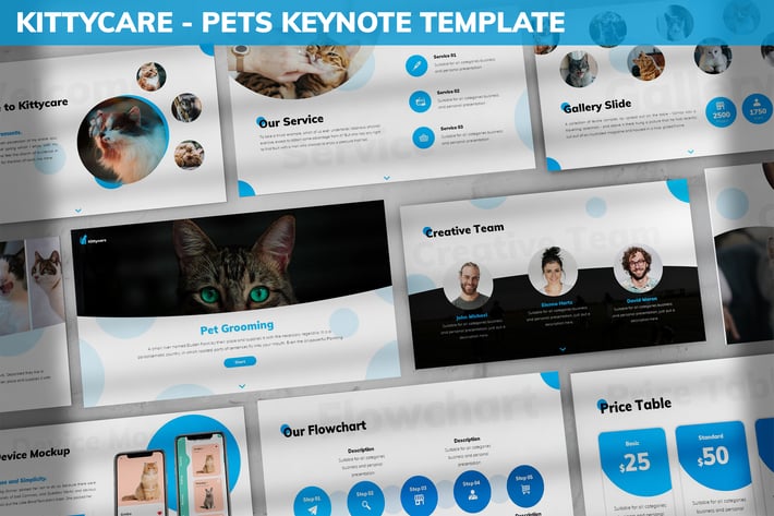 Kittycare - Pets Keynote Template
