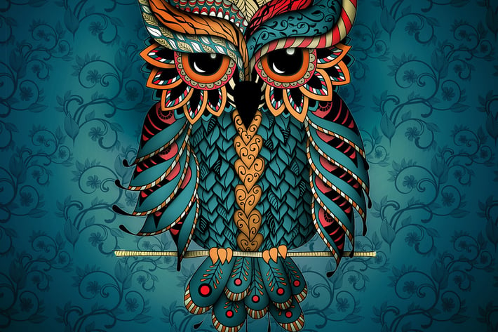 Owl in blue and orange colors