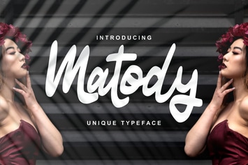 Matody | Unique Typeface Script 