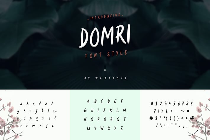 Domri - Fresh Handwritten Font Style