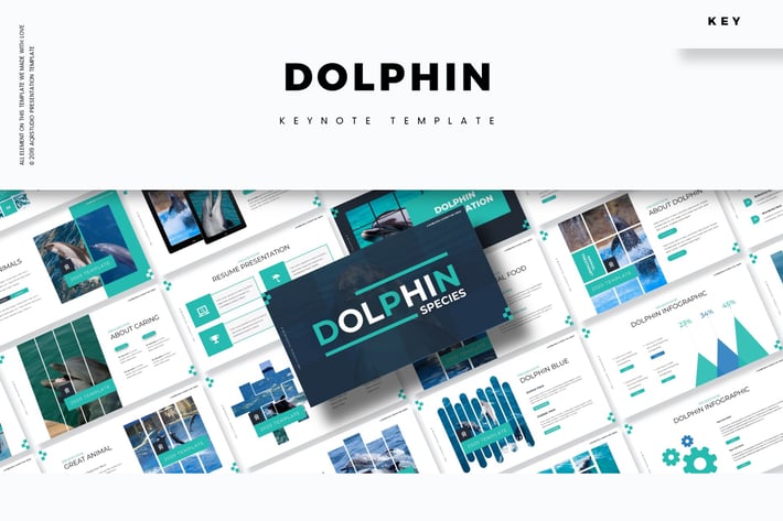 Dolphine - Keynote Template