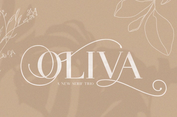 Oliva Serif Font Trio