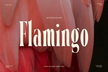 Flamingo Modern Serif Font