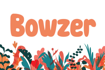 Bowzer - Kids Font
