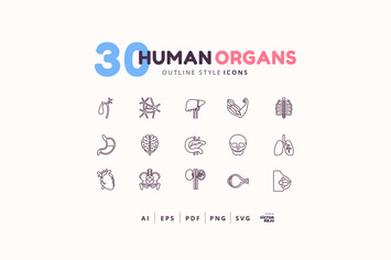 30 Icons Human Organs Outline Style