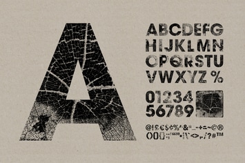 Wood Grain Type