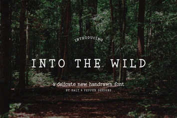 Into the Wild Font